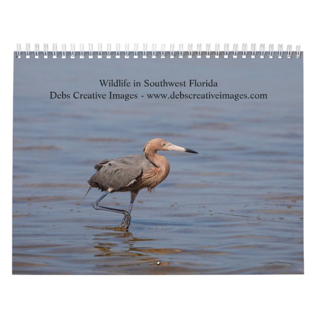 Wildlife i Southwest Florida 2026 Kalender (Omslag)