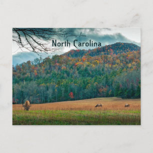 Wildlife in Autumn North Carolina Vykort