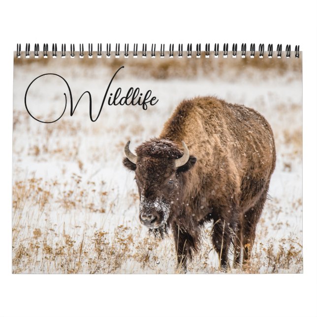 Wildlife-kalender med bildtexter kalender (Omslag)