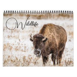 Wildlife-kalender med bildtexter kalender