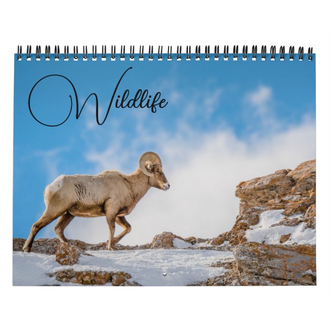 Wildlife-kalender med bildtexter kalender (Omslag)