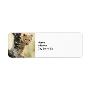 Wildlife Lejonare Unge Photo Returadress Etikett