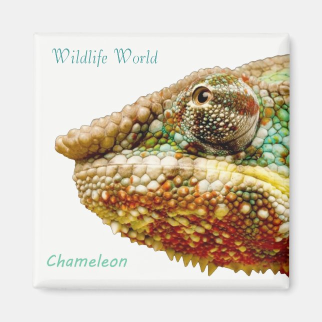 Wildlife Magnet (Framsidan)