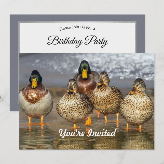 Wildlife Mallard Anka Photo Birthday Inbjudningar (Fram/baksida)