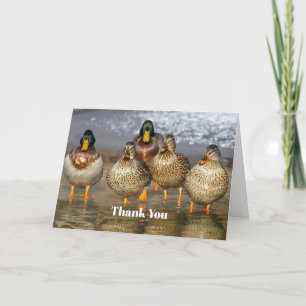 Wildlife Mallard Ankor Tack Kort