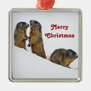 Wildlife Marmots Snö Photo jul Julgransprydnad Metall