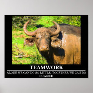 Wildlife Motivational Poster Buffalo Teamwork