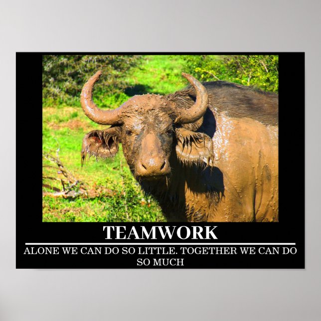 Wildlife Motivational Poster Buffalo Teamwork (Framsidan)