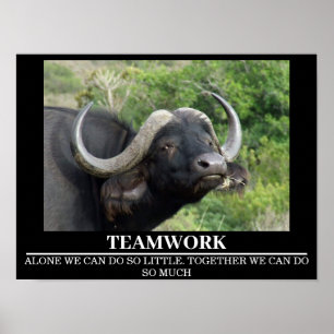 Wildlife Motivational Poster Buffalo Teamwork