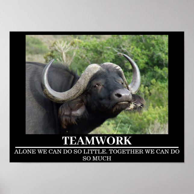 Wildlife Motivational Poster Buffalo Teamwork (Framsidan)