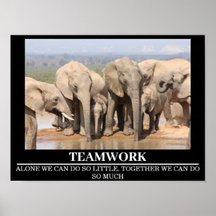 Wildlife Motivational Poster Elephant Teamwork