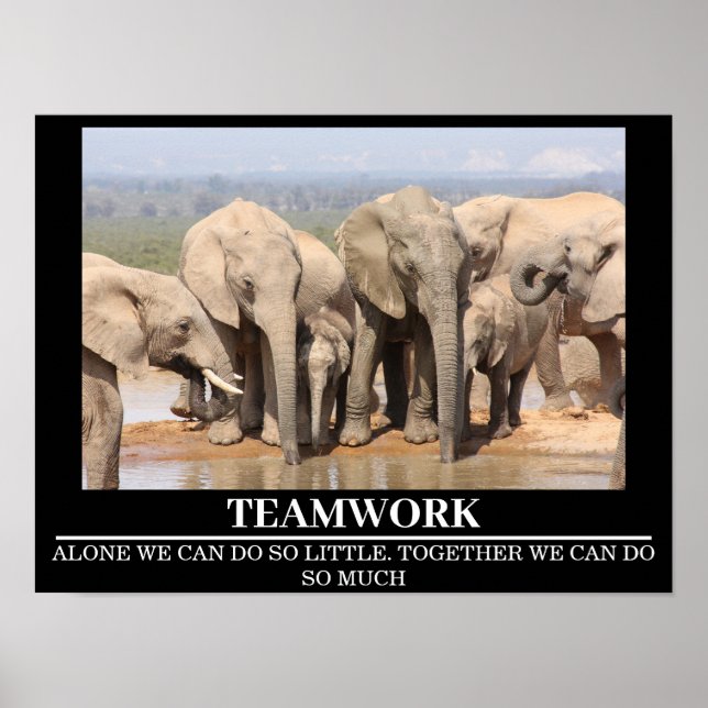 Wildlife Motivational Poster Elephant Teamwork (Framsidan)
