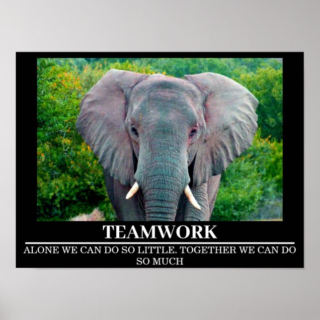 Wildlife Motivational Poster Elephant Teamwork (Framsidan)