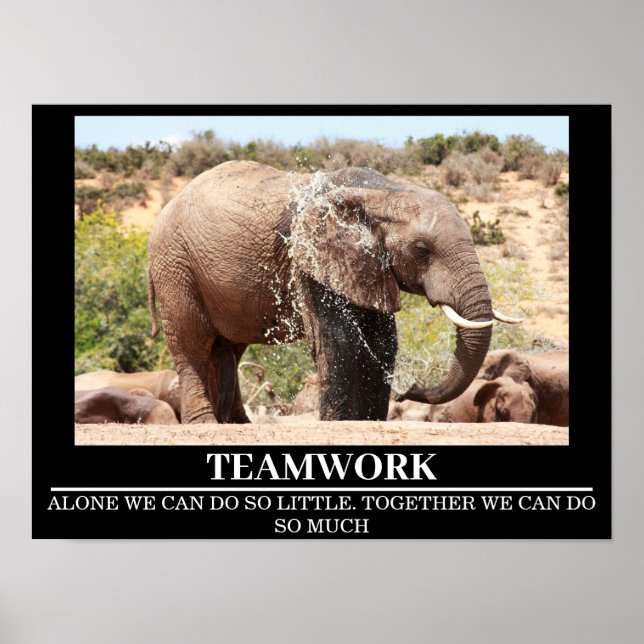 Wildlife Motivational Poster Elephant Teamwork (Framsidan)