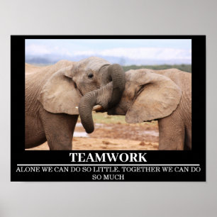 Wildlife Motivational Poster Elephant Teamwork