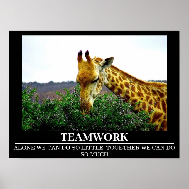 Wildlife Motivational Poster Giraffe Teamwork (Framsidan)