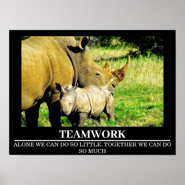 Wildlife Motivational Poster Rhinos Teamwork (Framsidan)