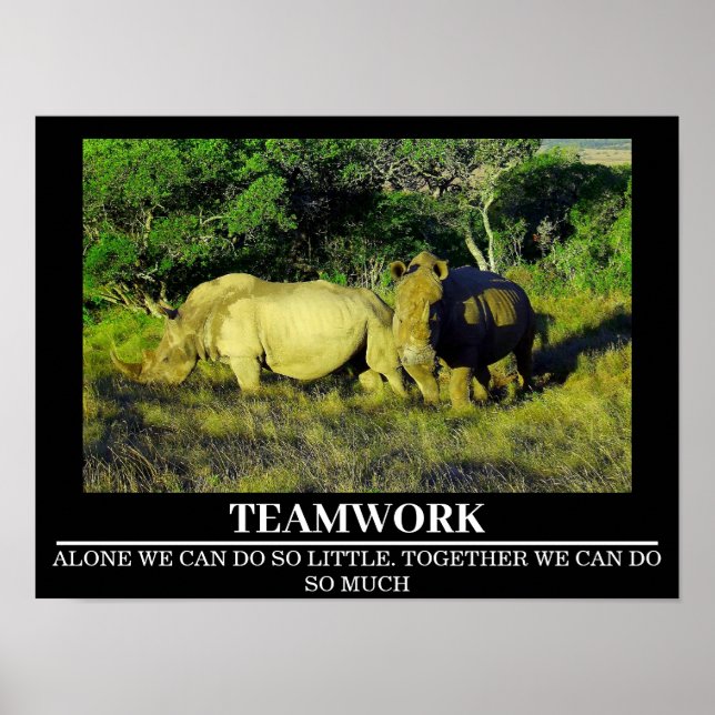 Wildlife Motivational Poster Rhinos Teamwork (Framsidan)