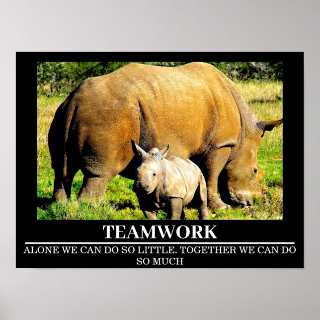 Wildlife Motivational Poster Rhinos Teamwork (Framsidan)