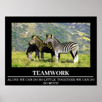 Wildlife Motivational Poster Zebra Teamwork