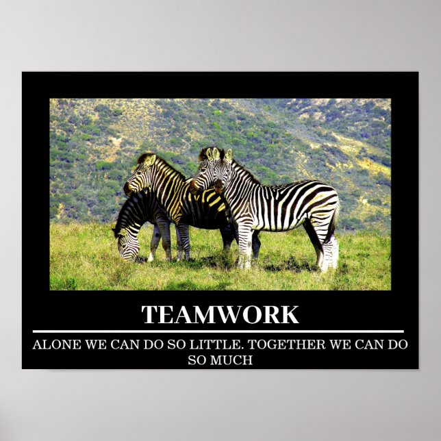 Wildlife Motivational Poster Zebra Teamwork (Framsidan)