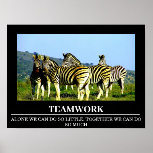 Wildlife Motivational Poster Zebra Teamwork
