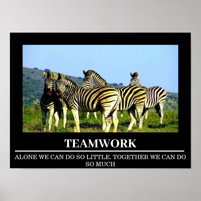 Wildlife Motivational Poster Zebra Teamwork (Framsidan)