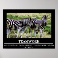 Wildlife Motivational Poster Zebra Teamwork