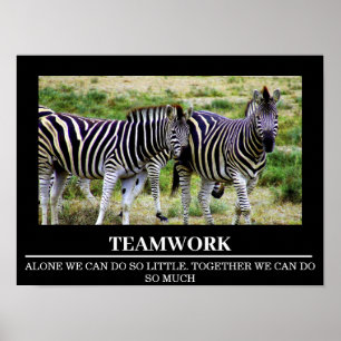 Wildlife Motivational Poster Zebra Teamwork
