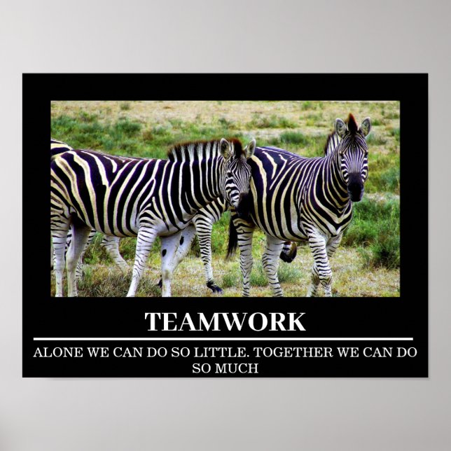 Wildlife Motivational Poster Zebra Teamwork (Framsidan)
