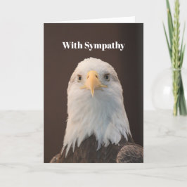 Wildlife Örn Porträtt Photo Sympathy Kort