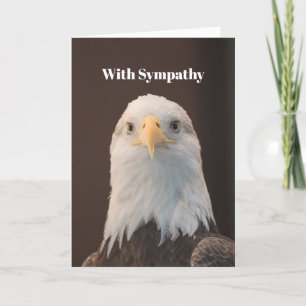 Wildlife Örn Porträtt Photo Sympathy Kort