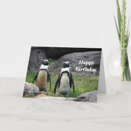 Wildlife Penguin Pair Photo Birthday Kort