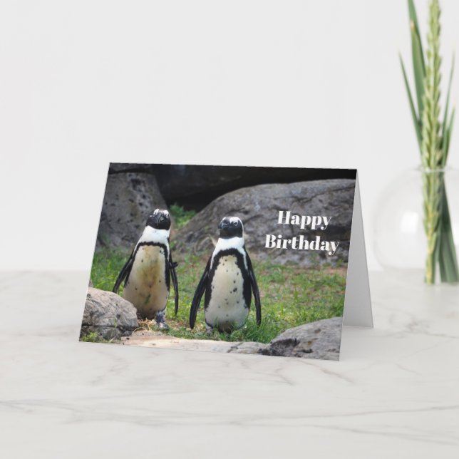 Wildlife Penguin Pair Photo Birthday Kort (Framsida)