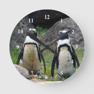 Wildlife Penguin Pair Photo Rund Klocka
