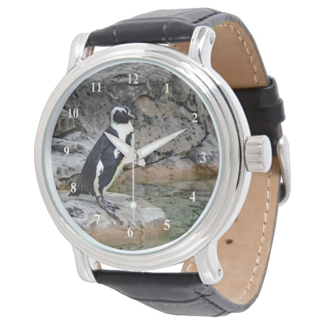 Wildlife Penguin Photo Armbandsur (Vinklad)