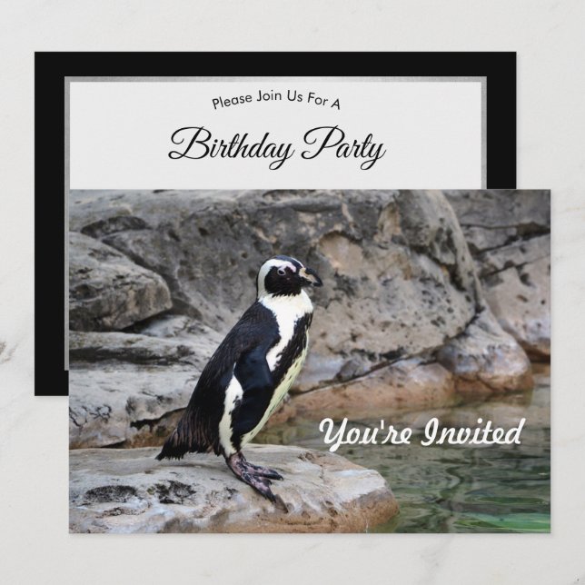 Wildlife Penguin Photo Birthday Inbjudningar (Fram/baksida)