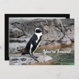 Wildlife Penguin Photo Birthday Inbjudningar