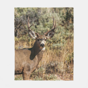 WILDLIFE PHOTOGRAFI OF BROWN BUCK FLEECEFILT