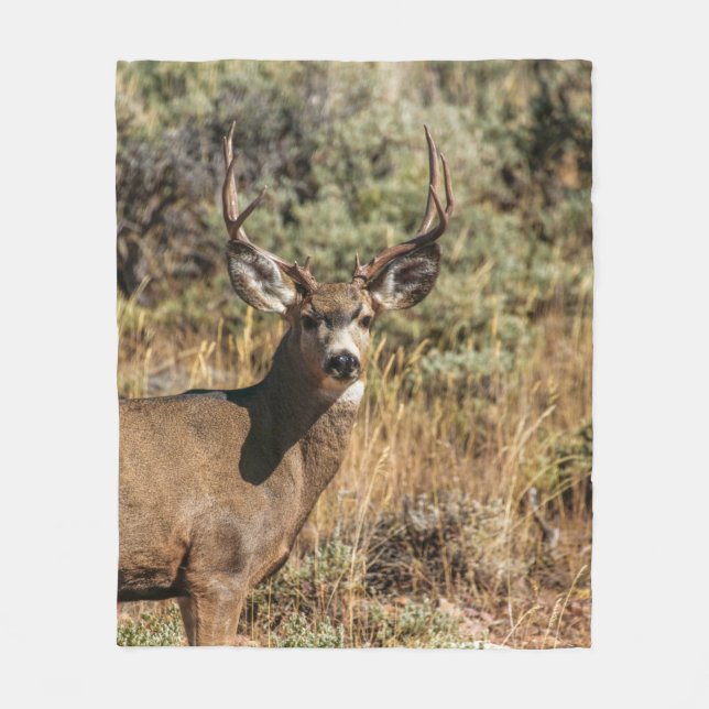 WILDLIFE PHOTOGRAFI OF BROWN BUCK FLEECEFILT (Framsidan)