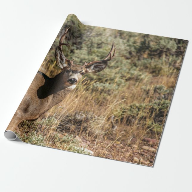 WILDLIFE PHOTOGRAFI OF BROWN BUCK PRESENTPAPPER (Utrullad)