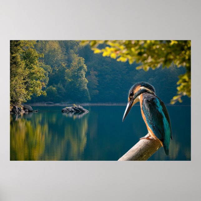 Wildlife Poster (Framsidan)