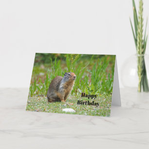 Wildlife Prairie Hund Photo Birthday Kort