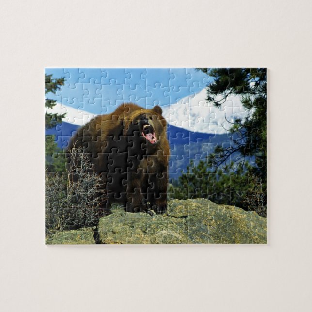 Wildlife Puzzle-Bear Pussel (Horisontell)