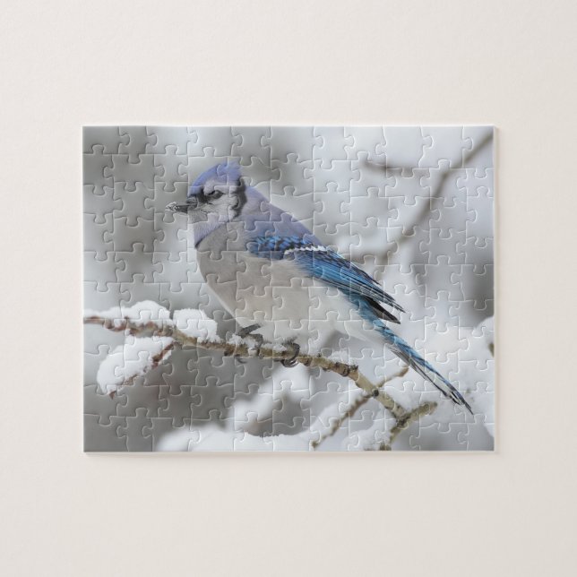 Wildlife Puzzle-Blue Jay Pussel (Horisontell)