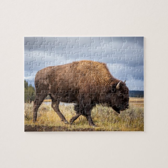 Wildlife Puzzle-Buffalo Jigszle Puzzle Pussel (Horisontell)