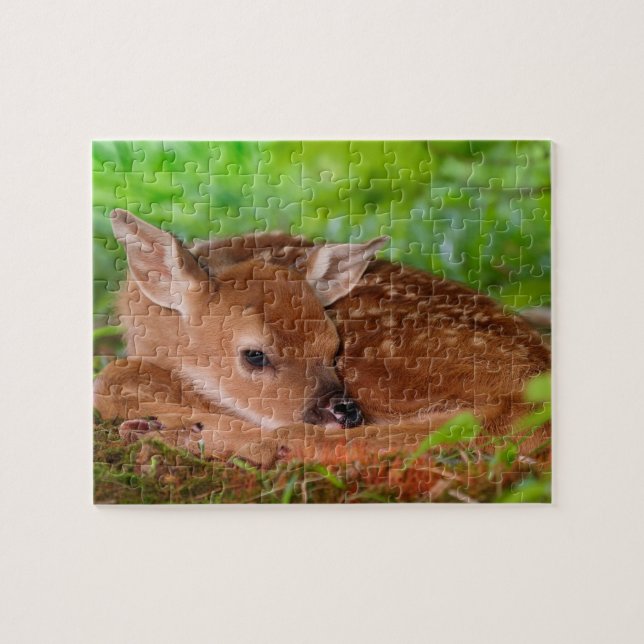 Wildlife Puzzle-Fawn Pussel (Horisontell)