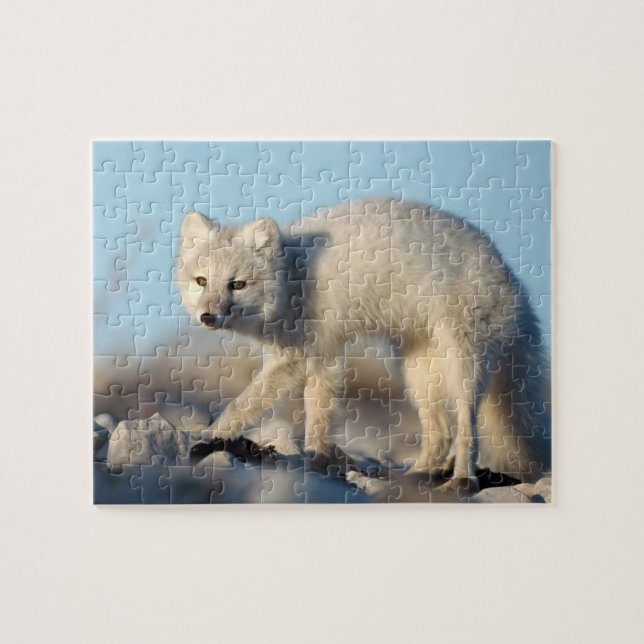 Wildlife Puzzle-Fox Pussel (Horisontell)
