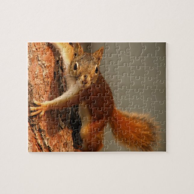 Wildlife Puzzle-Squirrel Jigszle Puzzle Pussel (Horisontell)