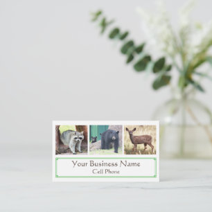 Wildlife Raccoon Black Bear Unge Hjort Animal Love Visitkort